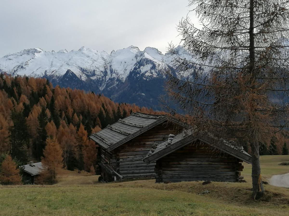 Dolomites B&B - Suites, Apartments And Spa Tesero Exterior foto